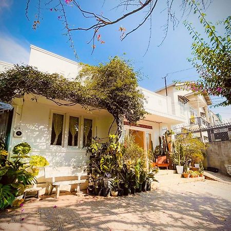 Hat De Homestay ดาลัด ภายนอก รูปภาพ