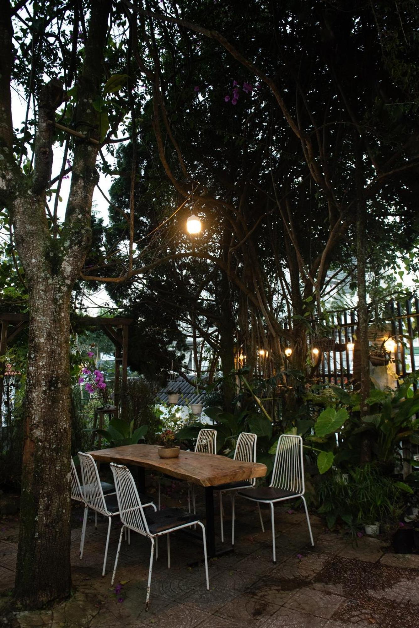 Hat De Homestay ดาลัด ภายนอก รูปภาพ