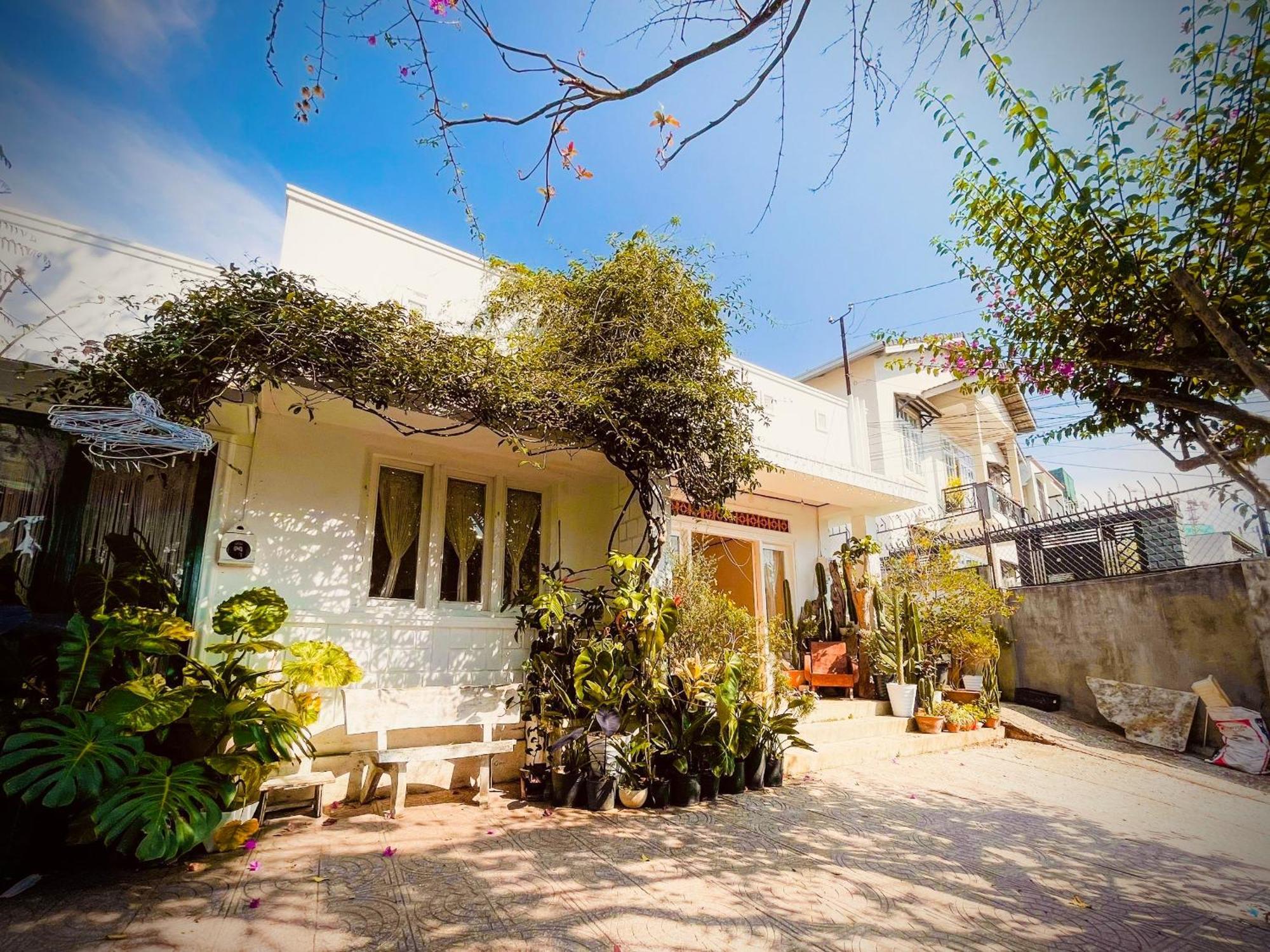 Hat De Homestay ดาลัด ภายนอก รูปภาพ