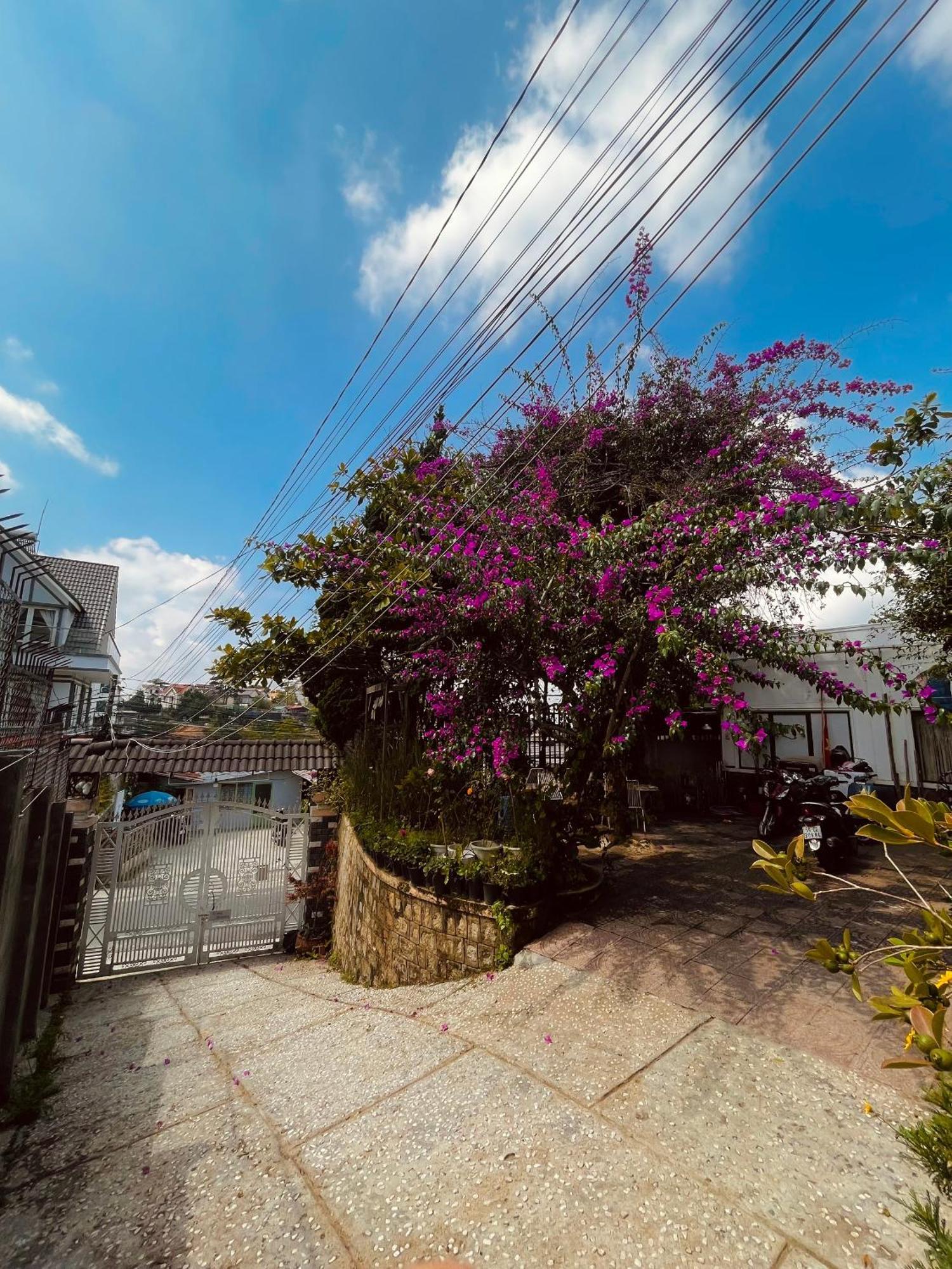Hat De Homestay ดาลัด ภายนอก รูปภาพ