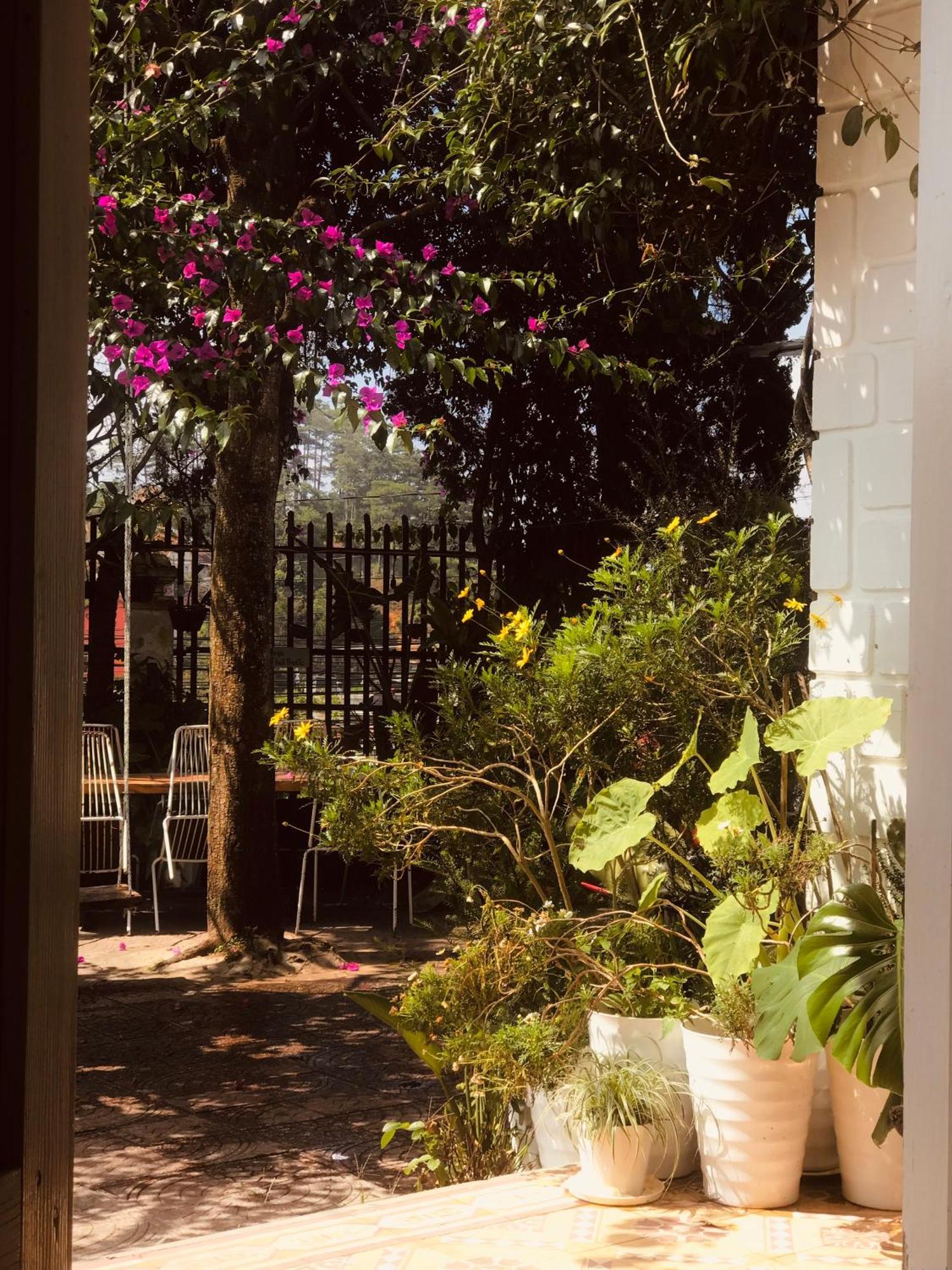 Hat De Homestay ดาลัด ภายนอก รูปภาพ