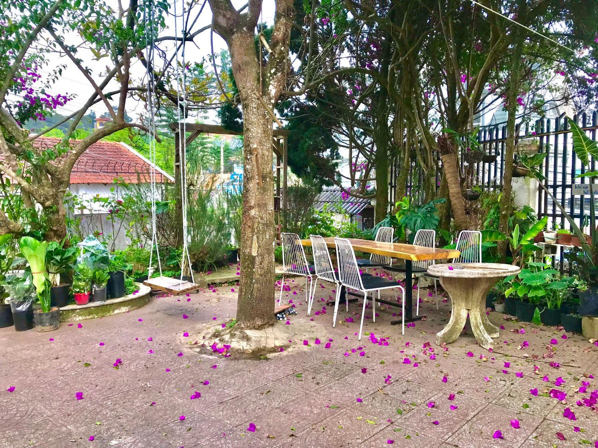 Hat De Homestay ดาลัด ภายนอก รูปภาพ