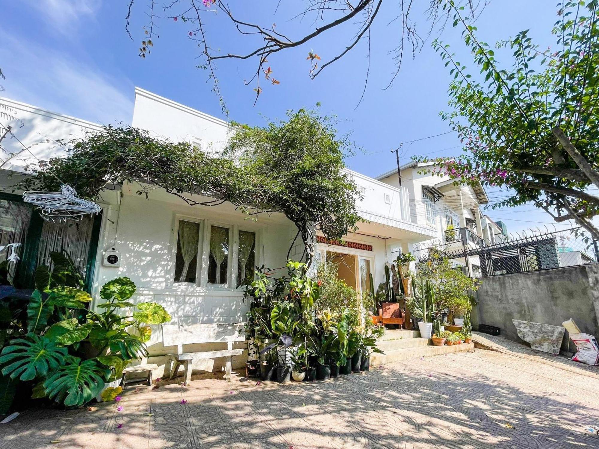 Hat De Homestay ดาลัด ภายนอก รูปภาพ